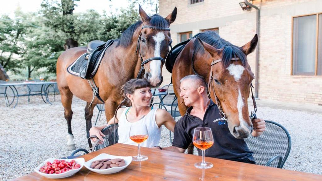 Fattoria Pieve A Salti Buonconvento Exterior foto