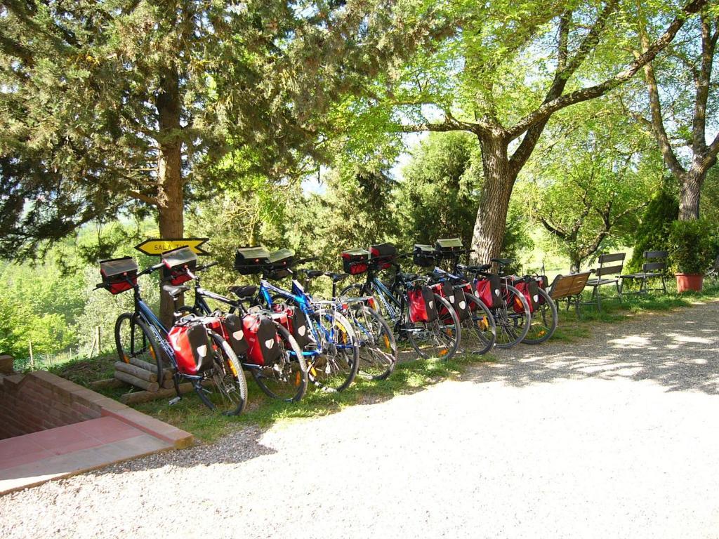Fattoria Pieve A Salti Buonconvento Exterior foto