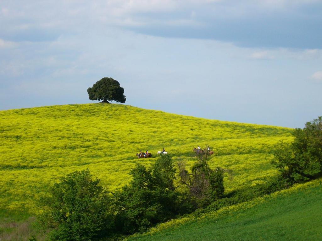 Fattoria Pieve A Salti Buonconvento Exterior foto