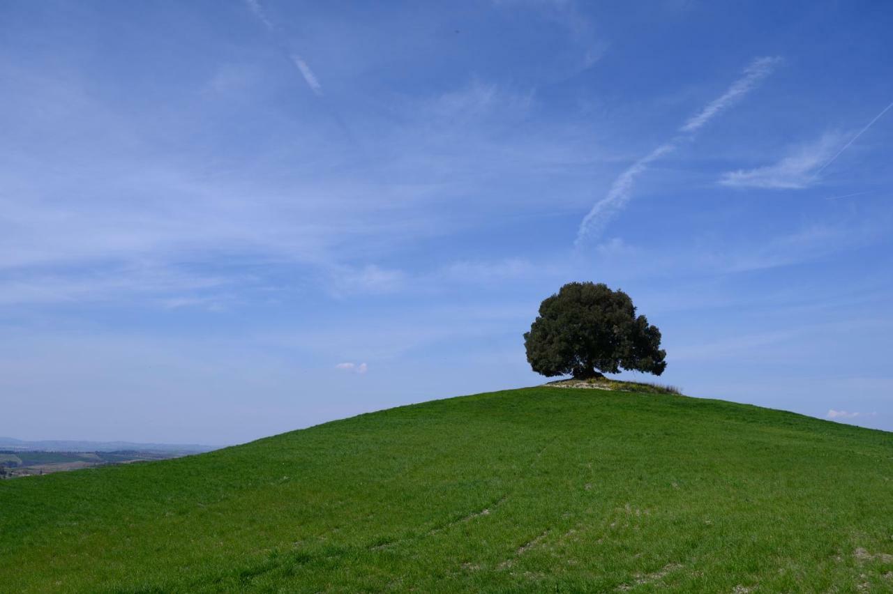 Fattoria Pieve A Salti Buonconvento Exterior foto