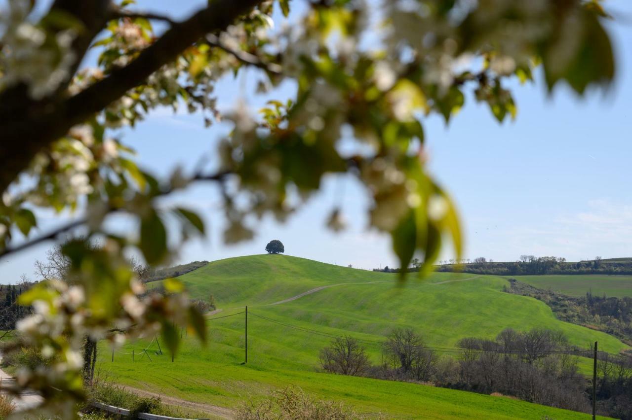 Fattoria Pieve A Salti Buonconvento Exterior foto